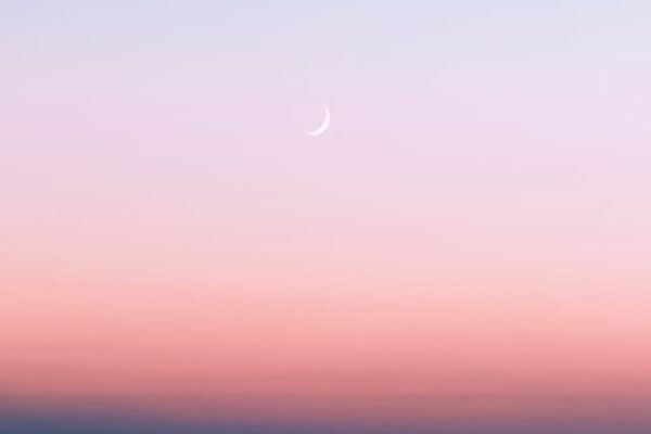 今日の運勢占い11月28日（木）12星座占いランキング第1位は蠍座（さそり座）！ あなたの星座は何位…!?