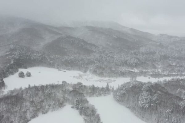 北広島町の湿原に飛来する冬鳥　この時期ならではの野鳥を探しに雪道を行く｜地球派宣言