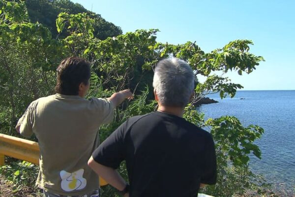 周防大島での水中撮影に密着！日本最大級のニホンアワサンゴ群生地｜地球派宣言