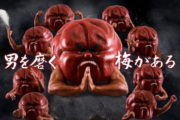 【徹底レビュー】すっぱい刺激連続パンチ！ 『男梅』シリーズ全9種を一気に食べ比べ！【おやつ/おつまみ】