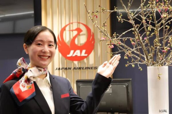 JALグループ、「日本一早い桜の花」を全国23空港に展示