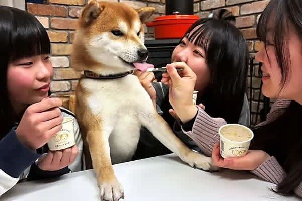 愛犬と一緒に楽しむアイス 豆乳ヨーグルトを原料に長野市の「go.goat」が企画開発