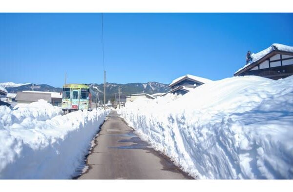 奇抜すぎぃ…！岐阜の鉄道フリー切符、まさかの食品サンプル「駅員に見せるのやばい」「道端に落ちていたら」
