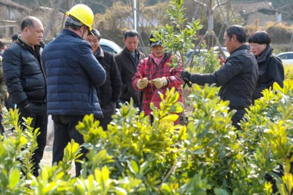 中国・武夷山市で恒例の自由市場開催