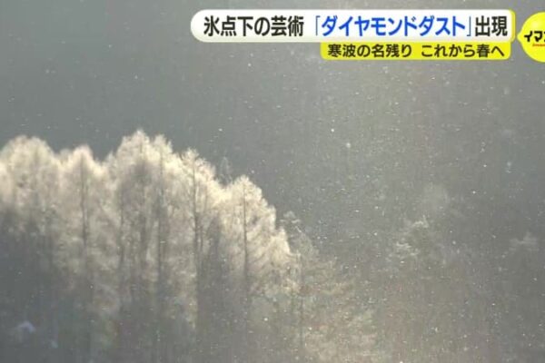 北海道でなくても出合えるキラキラの絶景　“日本最南端” 豪雪地帯で出合った氷点下の芸術「ダイヤモンドダスト」出現　広島・中国山地はマイナス１８℃ 強烈に冷え込んだ朝