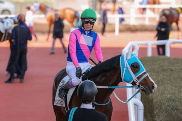 【阪神4R】武豊メイショウズイウンが5馬身差圧勝