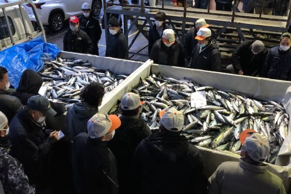 「東南アジアでアジフライが好まれる」「中国では丸ごと一匹の魚が人気」卸売業者が語る海外の魚事情