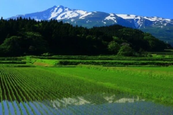 産地消の何が良いの？　地産地消がもたらす多くのメリットと、その地域だからこその可能性
