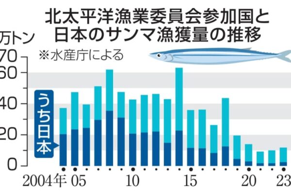 25年のサンマ総漁獲枠10％減