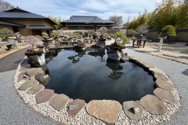 【土呂】世界に誇る一流の芸術品を魅せる「大宮盆栽美術館」リニューアルオープン！！
