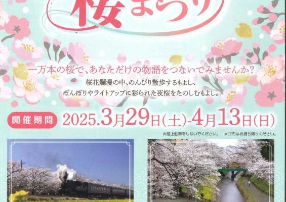 真岡の一万本桜まつり 7カ所でスタート　5日にかけて見頃迎える予想　ライトアップやジャズ演奏も　