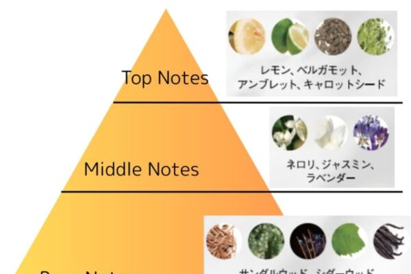 シナリー、天然精油「HE」を使用した限定オードトワレ『Sinary Daiquiri』を発売