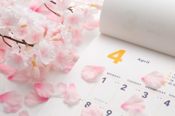 【NISAで一生モノ】株主優待と配当金も！ひと粒で2度おいしい2025年4月の欲張り銘柄3選