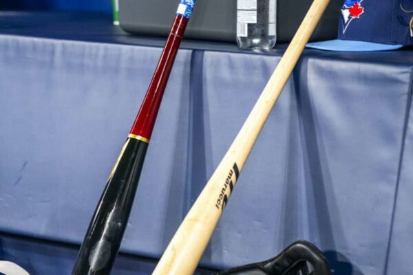 プロ野球「魚雷バット」容認へ