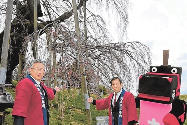 福島県の三春滝桜観光に新たな魅力　町とモンベル連携　レンタサイクル　カヤック乗り場　町内巡り充実