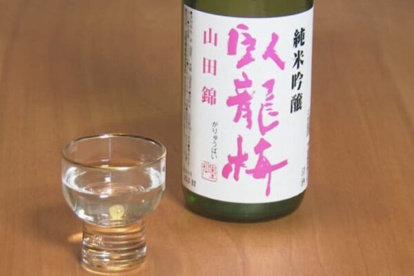 世界を翻弄『トランプ関税』…アメリカのSAKEブームで輸出再開した酒蔵も出ばなくじかれ　静岡市