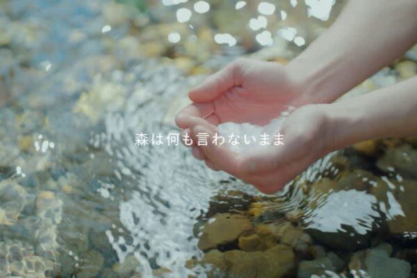 「森に、未来に、笑顔を。」自然豊かな森を守り、人々の笑顔と暮らしを支えるサステナブルな動画公開